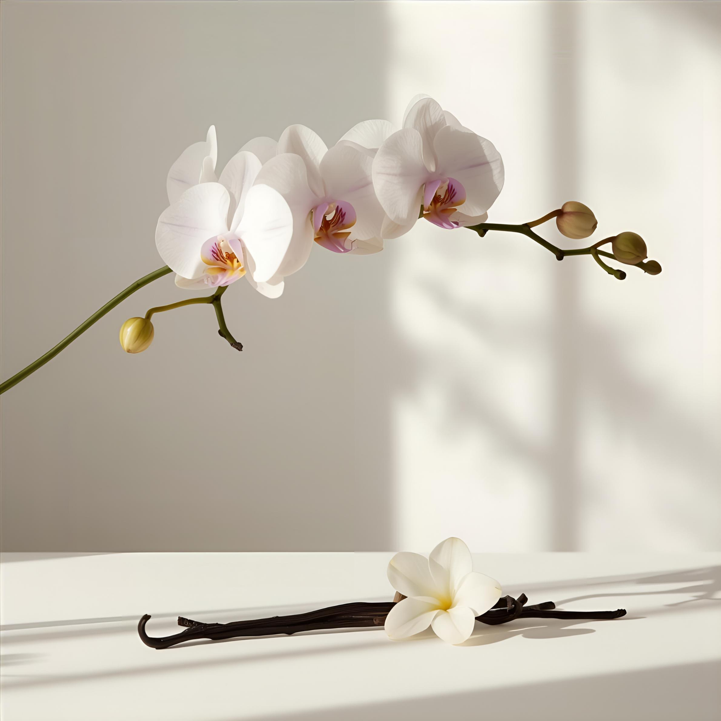 Velvet Orchid Inspired by Cheirosa 59 Eau De Parfum
